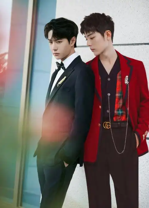 战山为王 /肖战王一博 /博君一肖