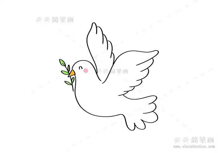 如何画和平鸽简笔画,和平鸽简笔画步骤教程