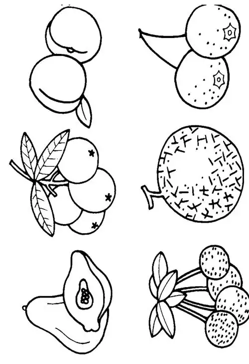 幼儿 水果 简笔画 涂色 填色