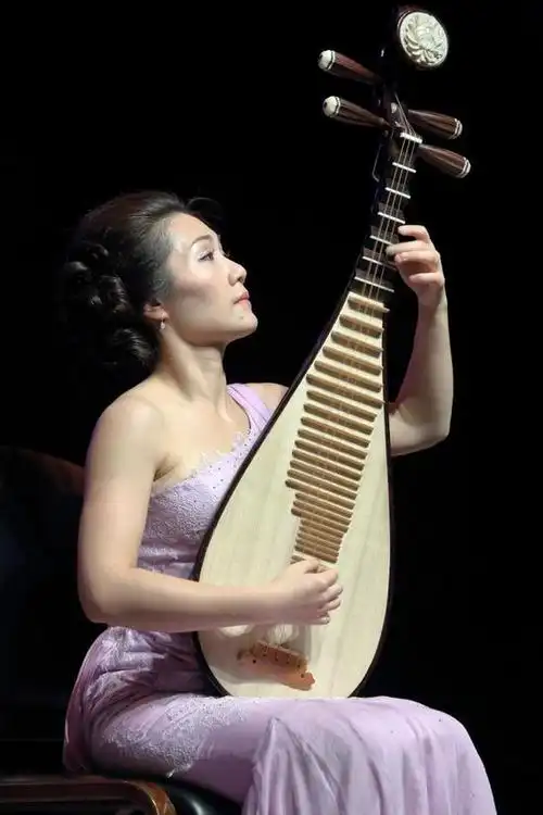 赵洁琵琶独奏音乐会全国巡演进行中