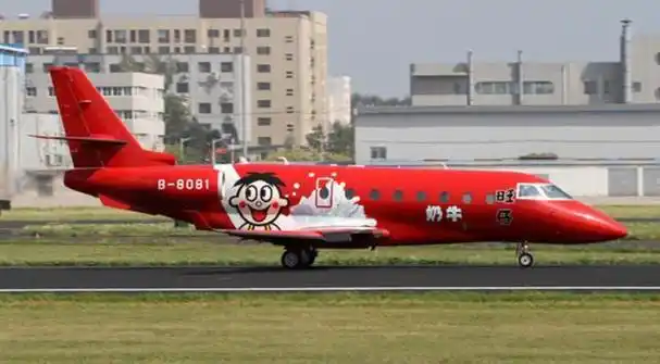 全套座驾超9000万美元,7个老婆9个孩子,不可想象|蔡衍明|私人飞机