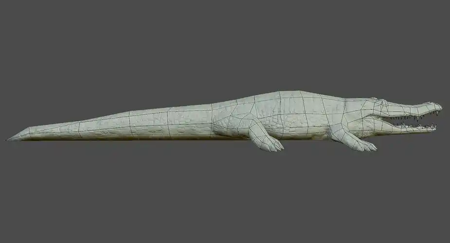 低聚鳄鱼3d模型