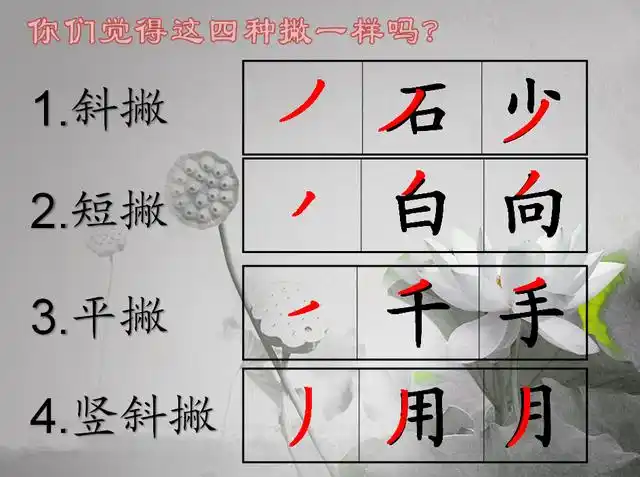 硬笔书法│"撇"笔画书写教程