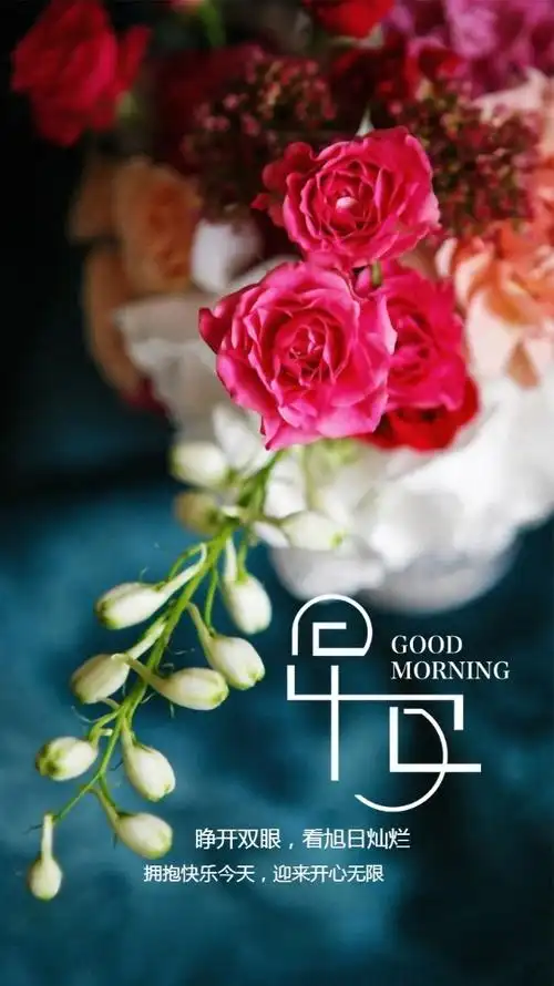 唯美花朵背景早安日签