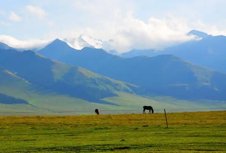 《可可托海的牧羊人》中的可可托海和那拉提究竟有多美?