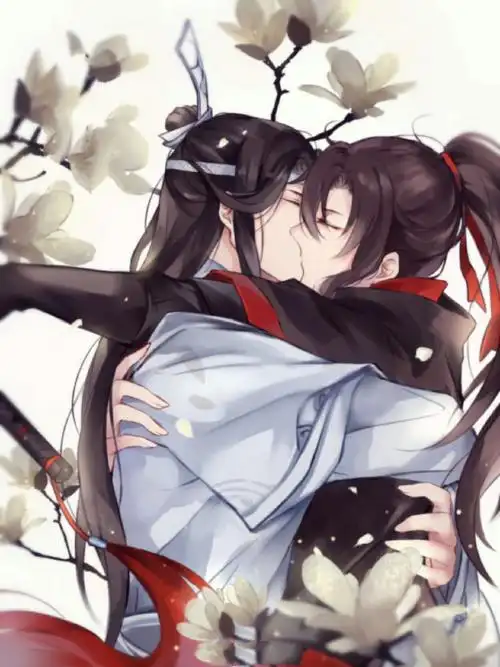 蓝忘机##魏无羡##魔道祖师