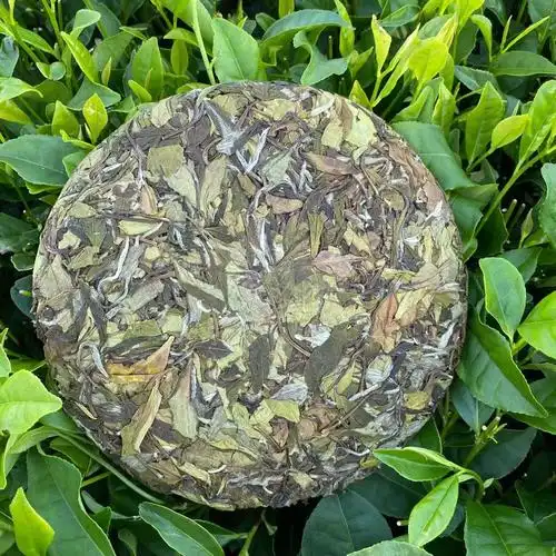 2020年贡眉福鼎白茶磻春茶茶饼300克贡眉