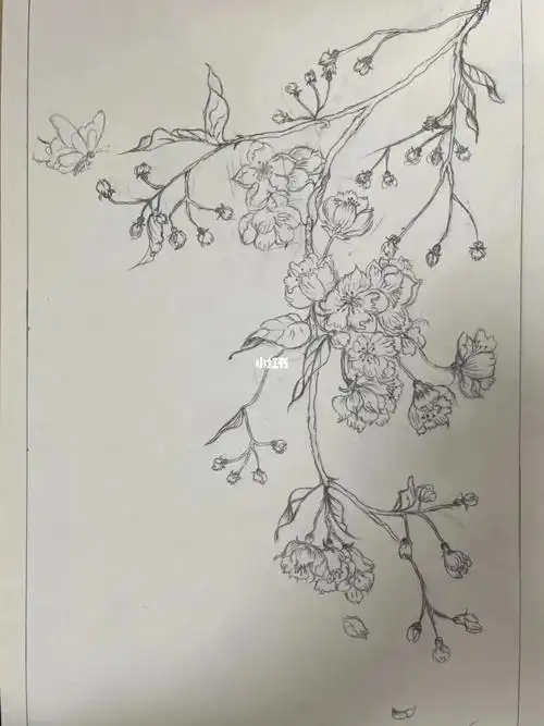 手绘练习1蝶恋花