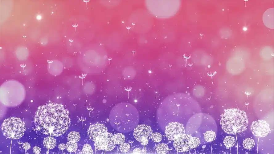 浪漫唯美视频背景-浪漫唯美视频背景素材下载-觅知网