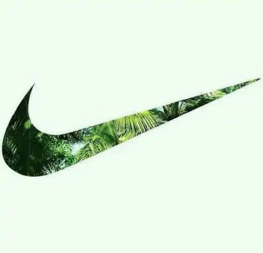 p图 抠图 素材集