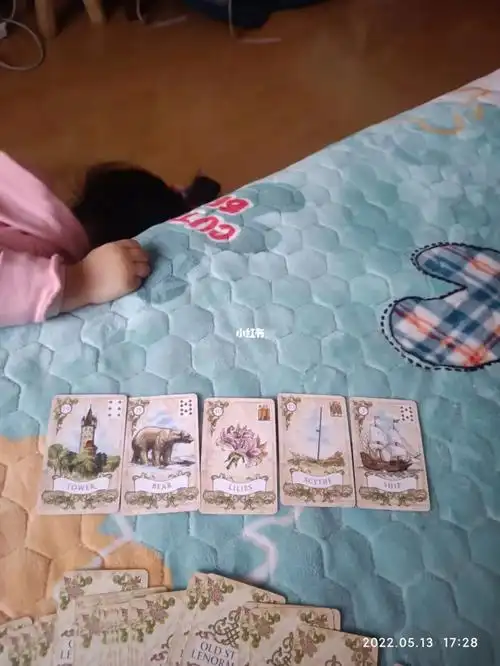 雷诺曼日常回答17