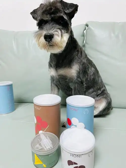 棒棒糖整个都可以吃的,看得见很大块的肉粒