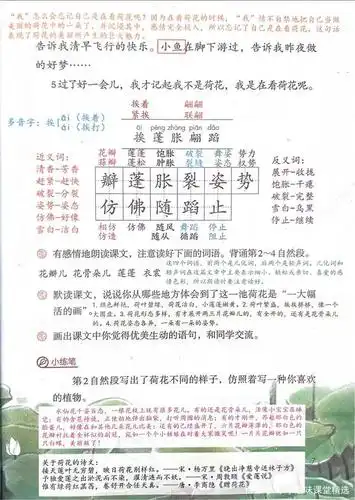 三年级下册语文第3课《荷花》预习笔记 知识点总结 课后习题