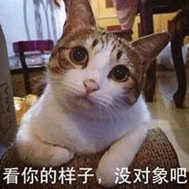 萌宠猫咪猫喵星人看你的样子没对象吧斗图gif动图_动态图_表情包下载