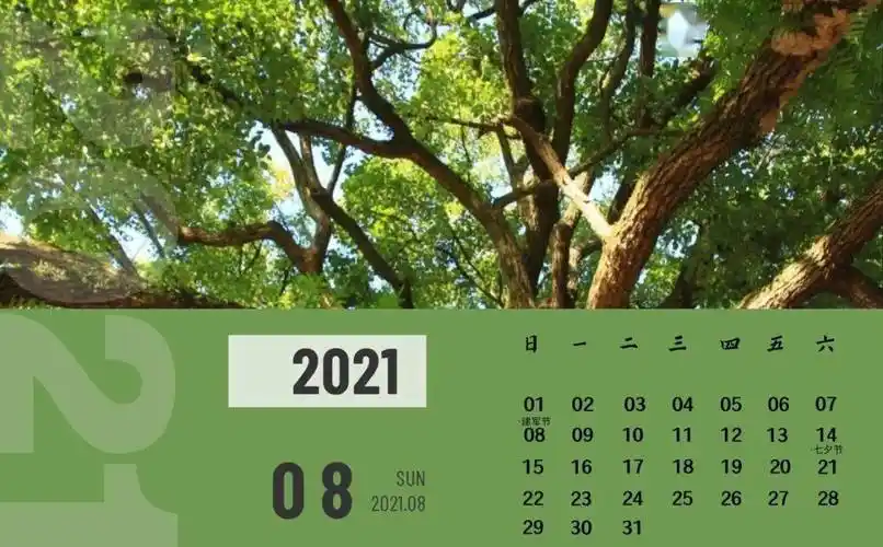 你的丽职2021日历上线啦