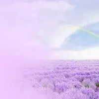 好看的图片头像风景意境_微信头像图片大全