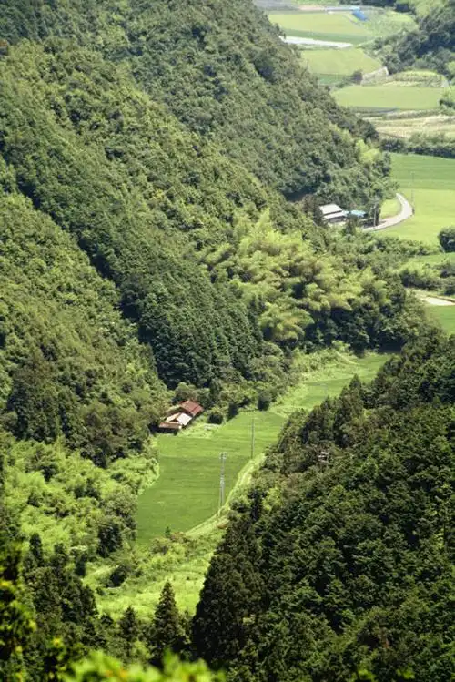 阴影,光线,影子,景观,山峰,山峦,娱乐,树,树木,绿色,阳光,自然,群山