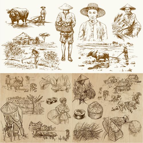 复古手绘素描线描丰收季节农民耕田稻田农场牧场乡村eps矢量素材