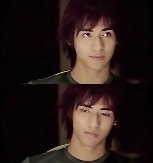 周渝民巅峰时期火到什么样