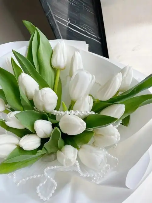 白色郁金香千万不能乱送(男生送郁金香代表什么意思)