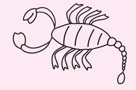 蝎子简笔画的画法步骤教程及图片大全,图片,简笔画-学笔画