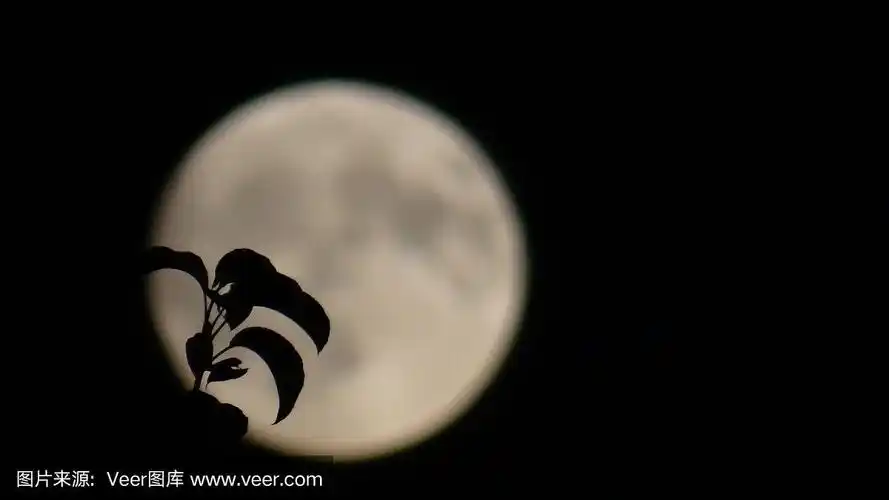 月球,无人,伊利诺斯州,黑白图片,图像