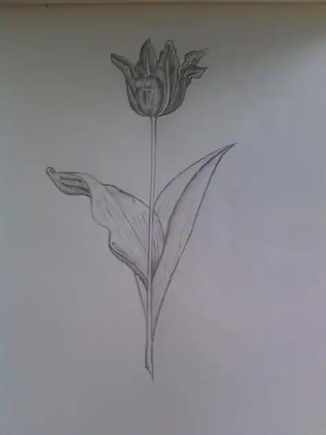 素描画图片简单素描简笔画图片大全