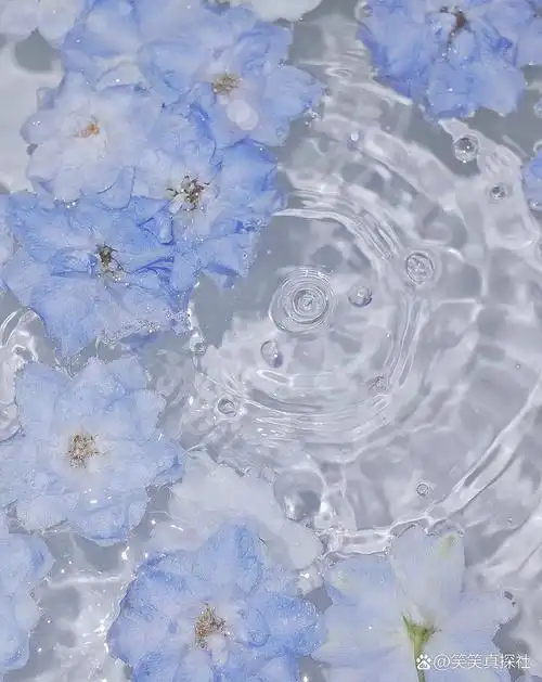 蓝色壁纸,敲梦幻 #唯美壁纸# #背景