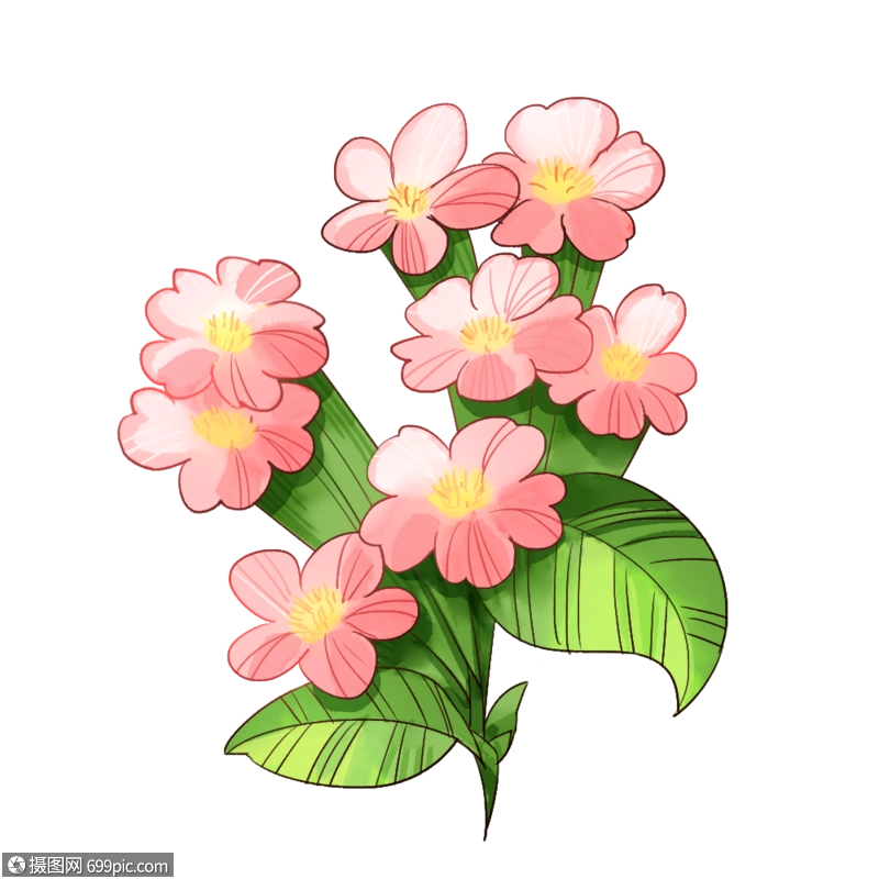 水彩粉红色小花花卉q版