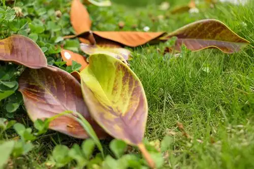 黔西:今日 立秋