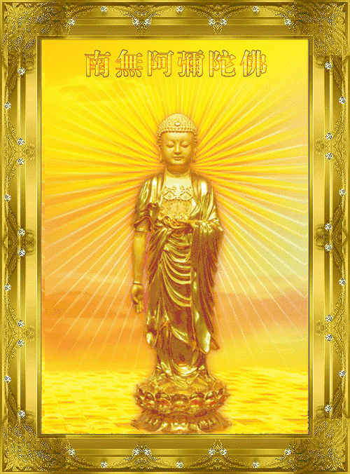 今天是藏历阿弥陀佛节日见者增福功德无量