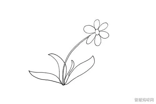 太阳花简笔画画法步骤