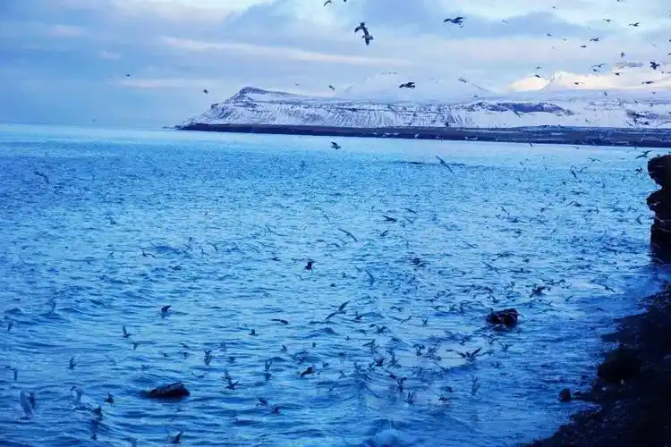 3月初的冰岛,8点过,天才开始亮.