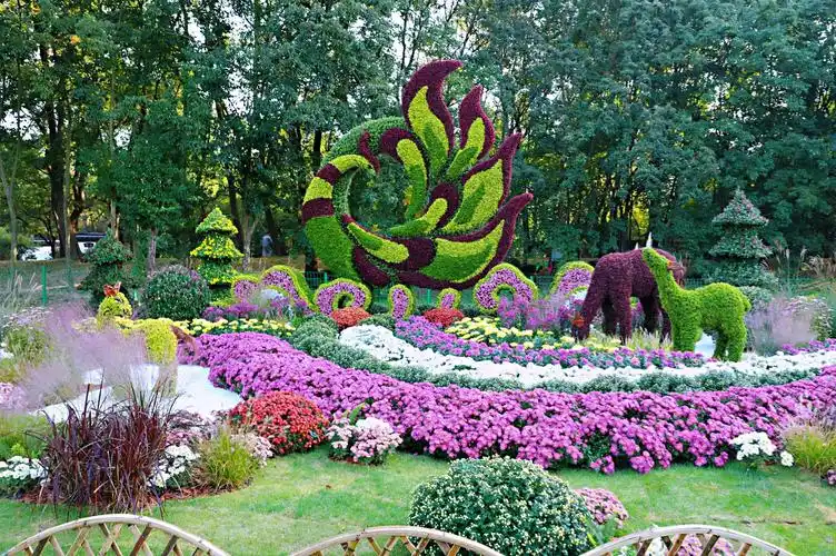 2020上海森林公园菊花展