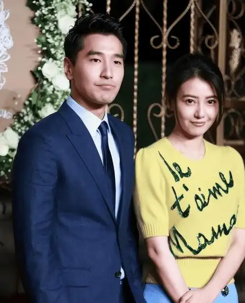 原创夫妻本是同林鸟但抱歉这一次赵又廷救不了高圆圆