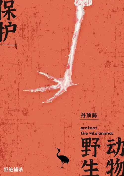 保护野生动物|公益插画海报