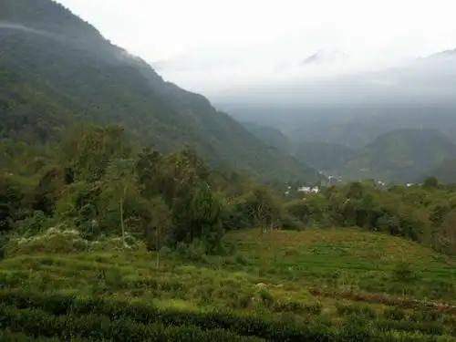 文县碧口马家山是您休闲度假的好去处