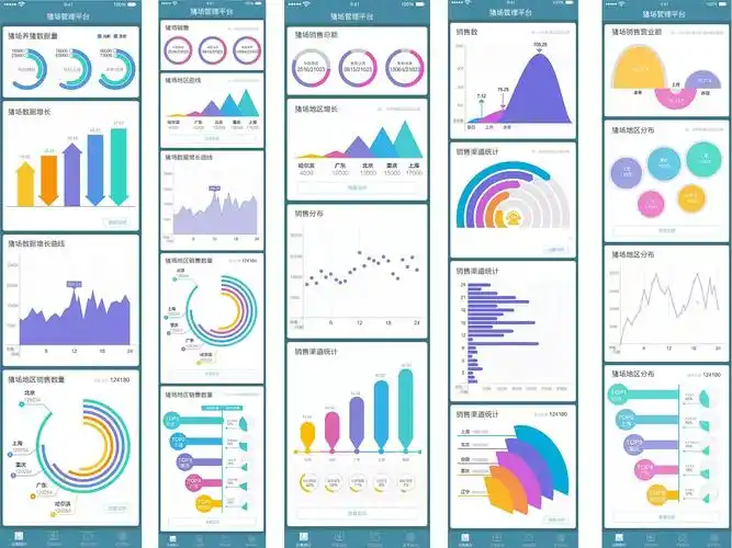 数据图表展示_软件服务案例_睿智数聚(北京)科技有限公司
