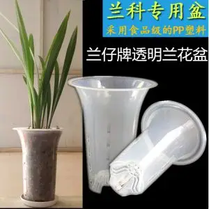 兰仔牌兰花盆塑料花盆兰花专用盆透明塑料兰花盆专用兰花兰草花盆