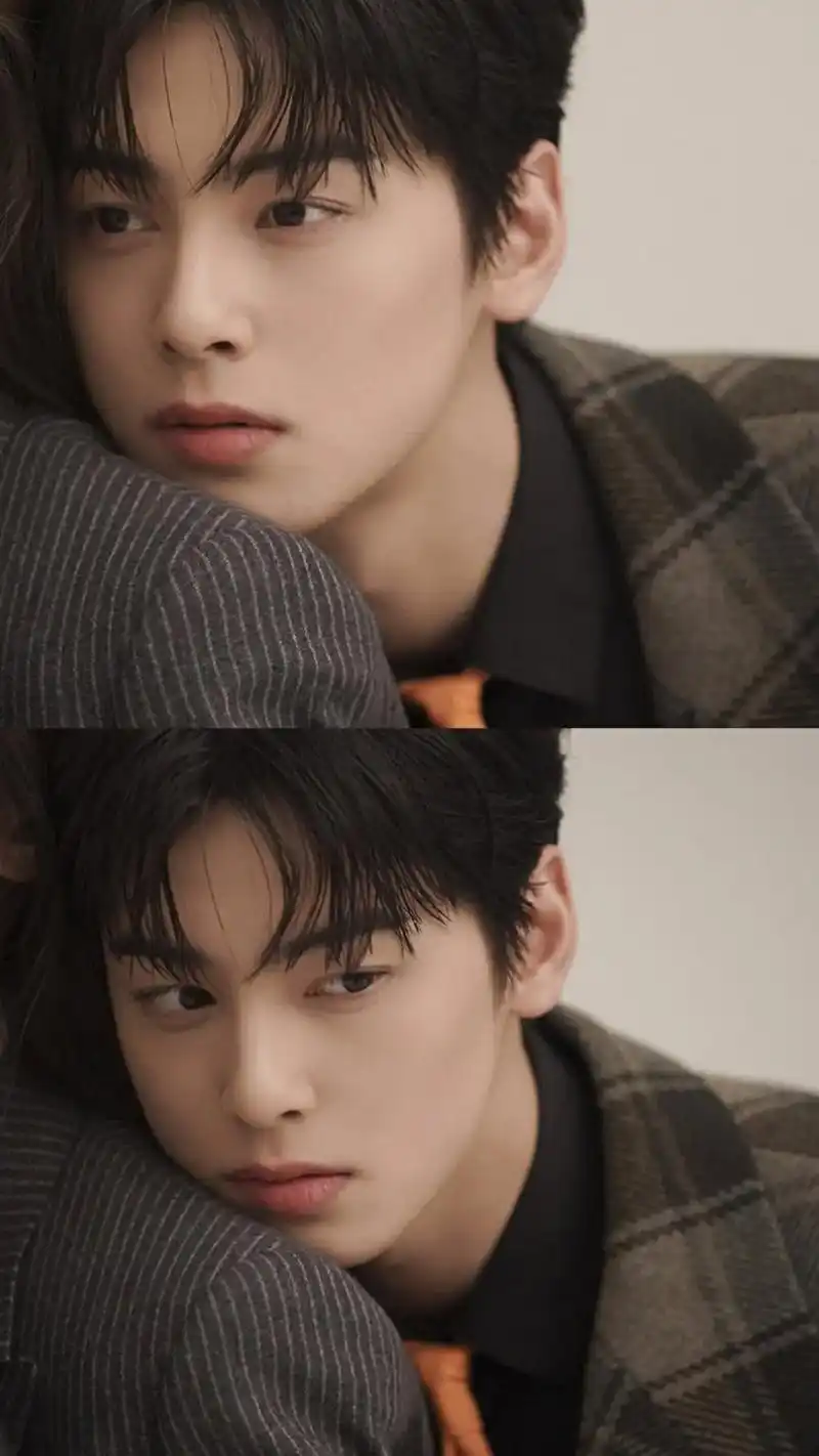 脸蛋天才帅气美男子