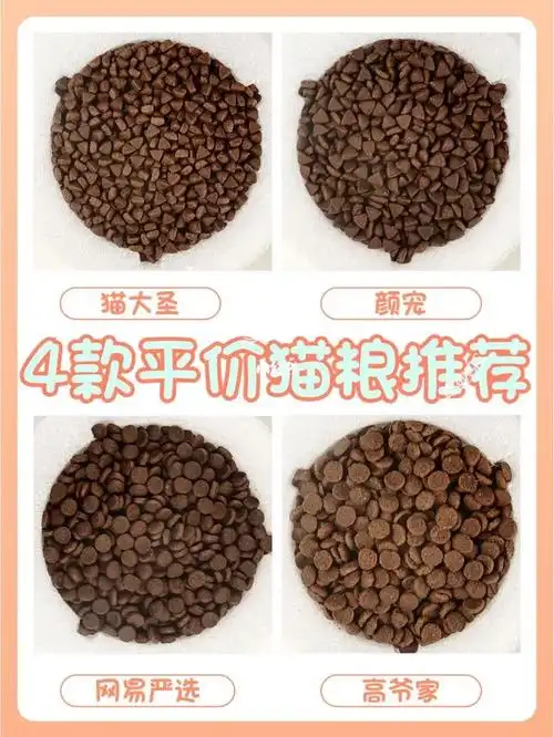 平价猫粮推荐低成本养猫攻略