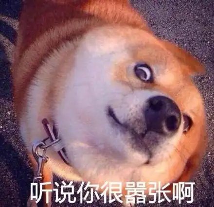 听说你很嚣张啊 - 瞪眼 doge 表情包_doge_怼人表情表情