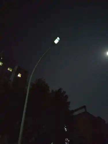 这是往里走的路,灯不亮,那条路越往里就越黑.