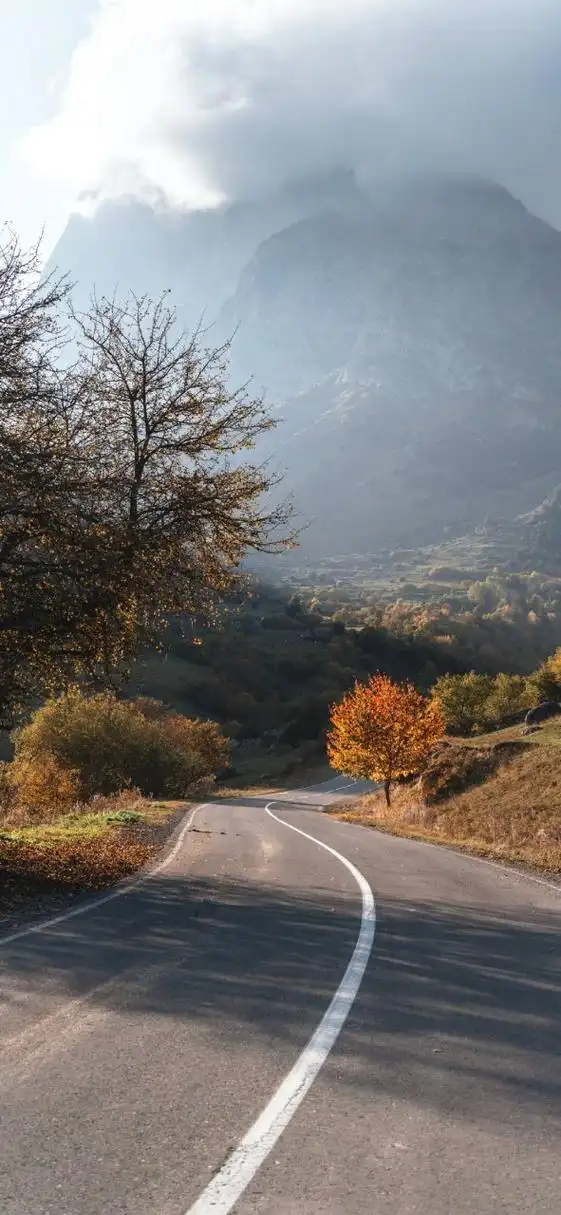"风景壁纸"已送达