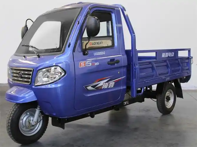隆鑫牌lx3000dzh2电动正三轮摩托车