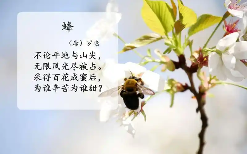 42-小学古诗词手势操-蜂