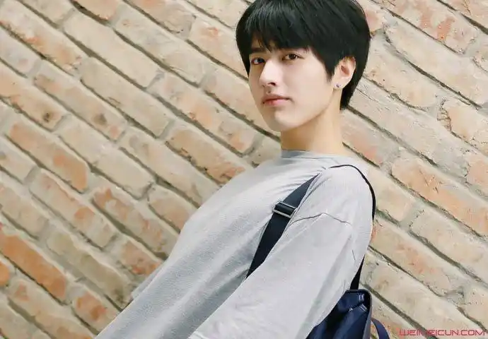 罗正是哪里的 高颜值引迷妹入坑揭其鲜为人知的资料 罗正是来自贵州