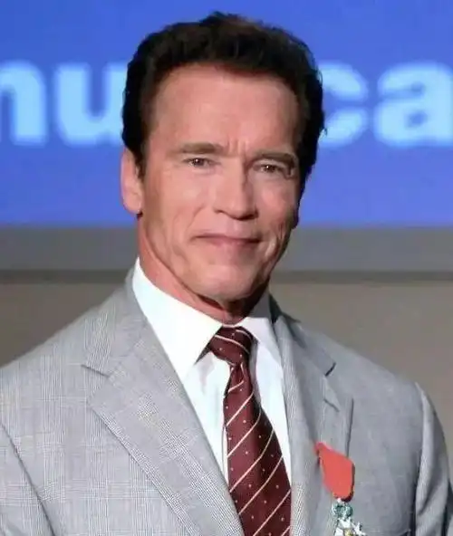 美国好莱坞六大硬汉大盘点排在第一名的果然是他