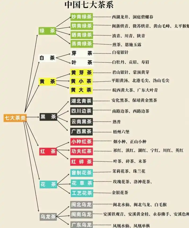 一张图学会7大茶系分类6015必须保存啊!