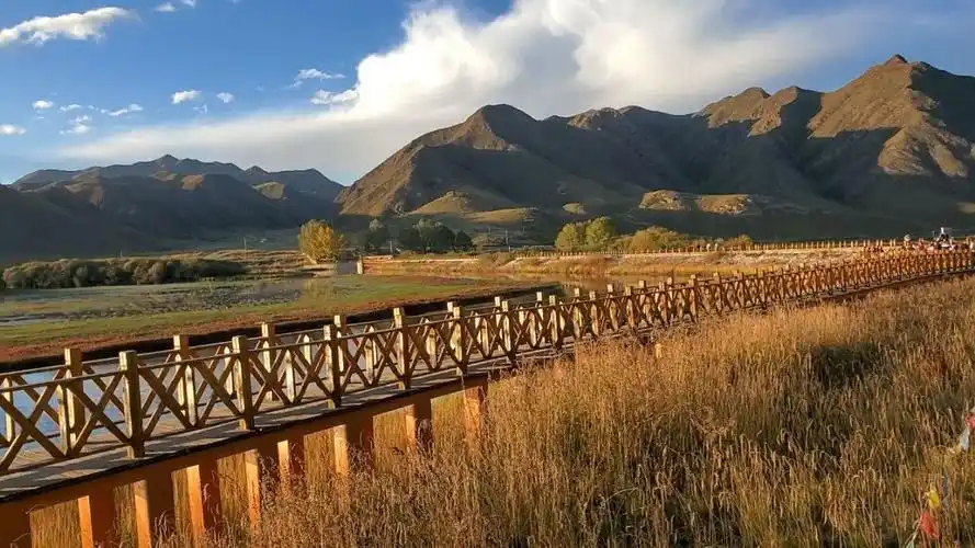 桑科湿地公园大夏河